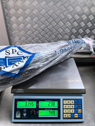 🎊美國🇺🇸大廠SPC銀鱈魚（原條，3-4kg）